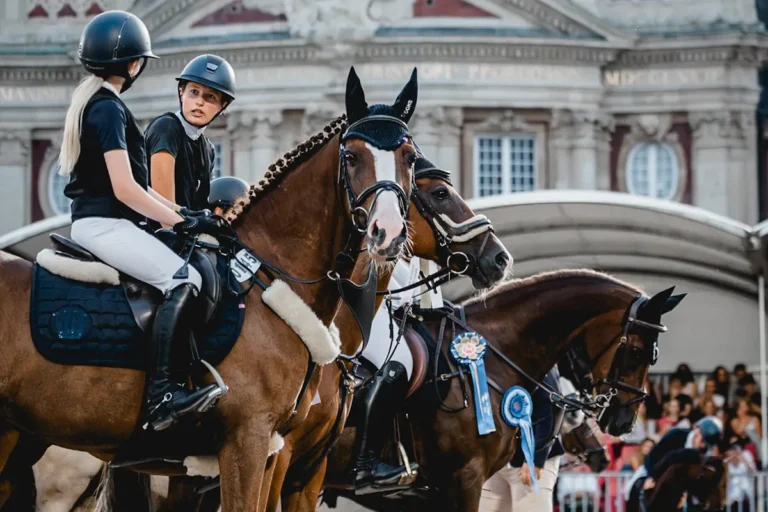 Turnier der Sieger in Münster 2024