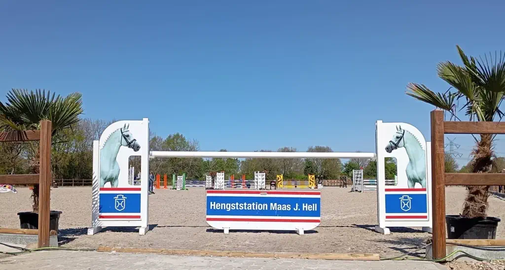 Hengststation Maas J. Hell – schöne Premiere für den neuen Platz