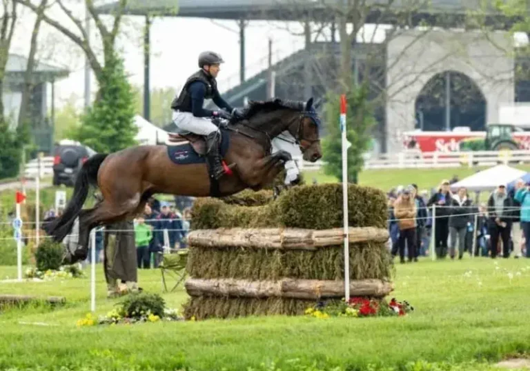 Start-Ziel-Sieg für Olympiasieger Michael Jung in Lexington
