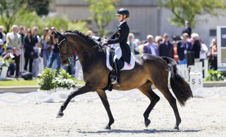 LONGINES BALVE OPTIMUM – Wo Reitsport lebt und Geschichte geschrieben wird