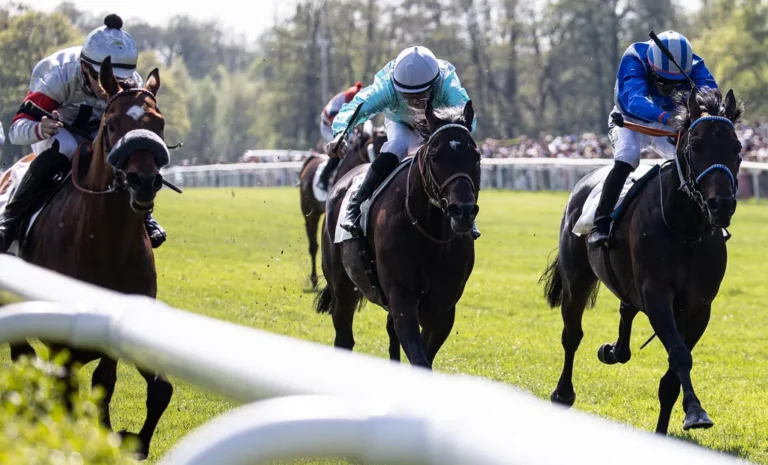 Top-Finale mit Star-Galoppern im Grossen Preis von Tattersalls
