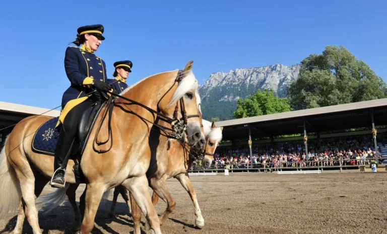 Haflinger Weltausstellung 29.05. – 01.06.2025