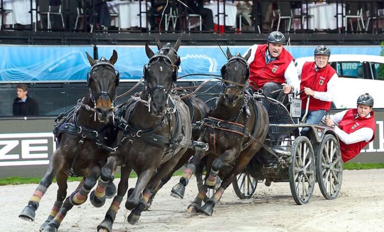 Europameisterschaften 2025 – Höhepunkte im Pferdesport