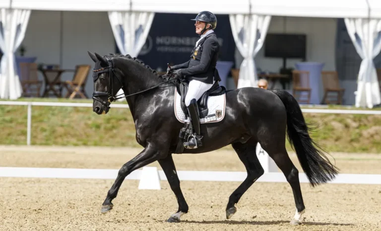 Mannheim: Deutsches Para-Team gewinnt Mannschaftswertung
