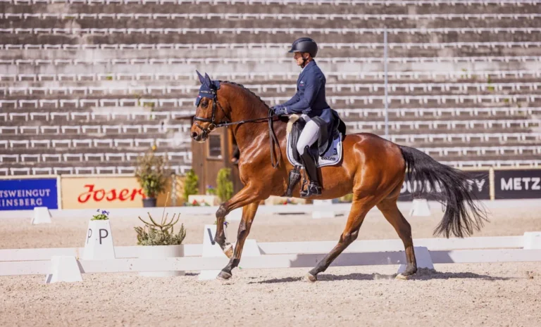Michael Jung auf Platz 1 und 2 vor Libussa Lübbeke