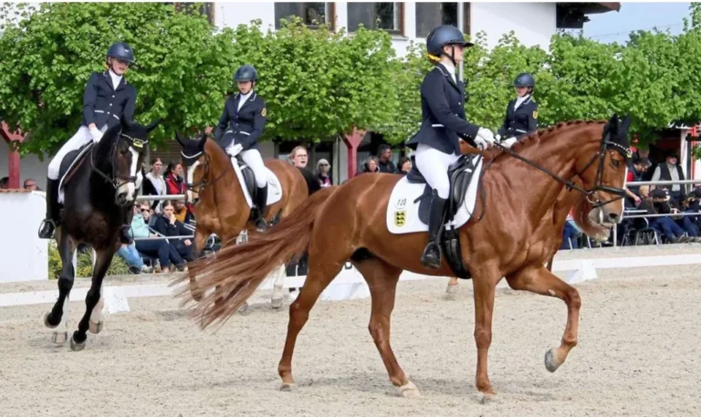 Team aus Baden-Württemberg gewinnt Bronze
