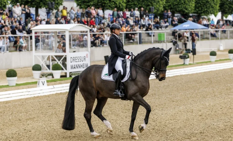 „Doro“ Schneider sichert sich Dressur-Grand Prix und zudem Platz 3