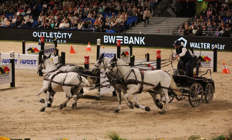 Reitsport auf Weltklasseniveau live in Stuttgart