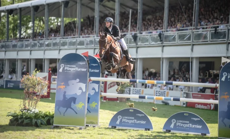 Im Galopp und mit neuem Partner