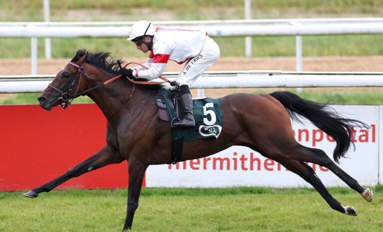WETTSTAR präsentiert: Cashback in der Top-Derby-Vorprüfung in Köln