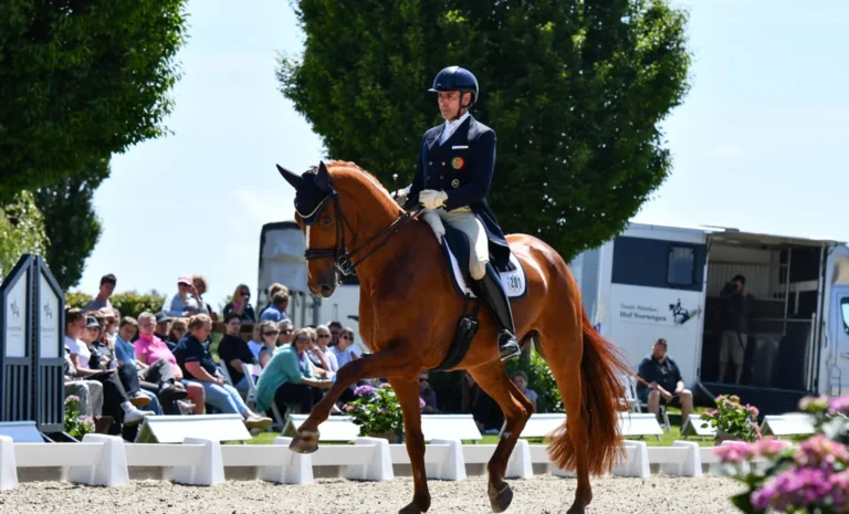 Toller Sport, viele Zuschauer und eine Top-Stimmung