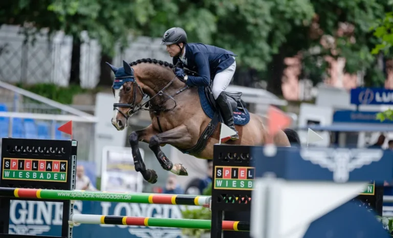 ‚Michi‘ und sein Supertalent – in Wiesbaden in Führung