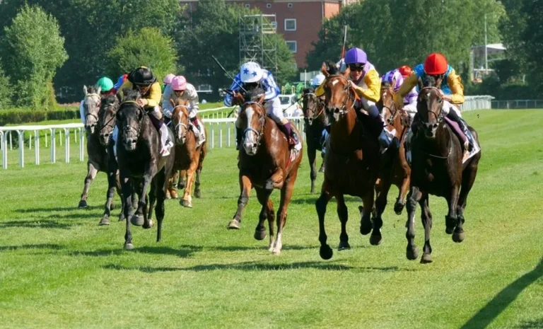 65 Pferde beim Seidnitzer Aufgalopp 