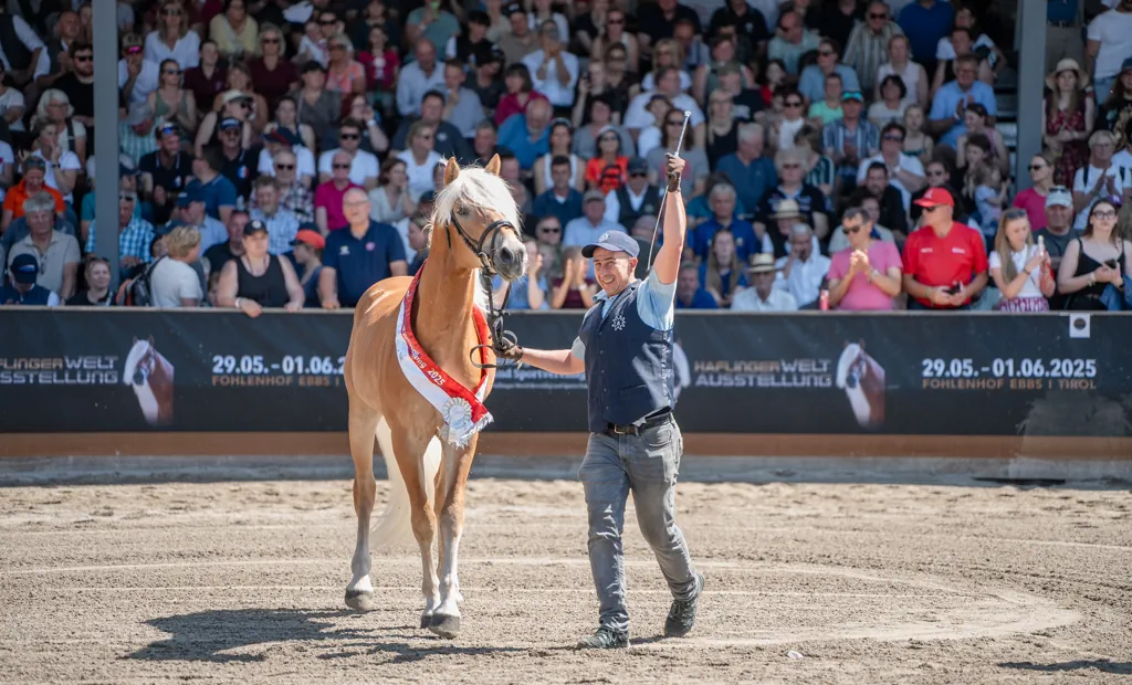 Erfolgreicher Auftritt der deutschen Haflinger bei der Weltausstellung