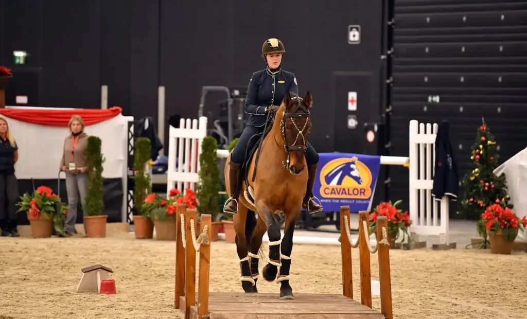 Große Bühne für Working Equitation