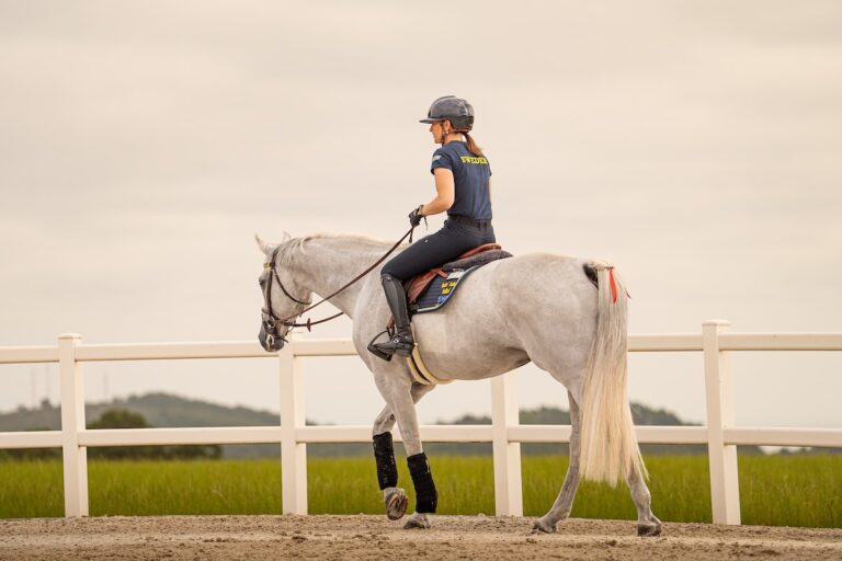 Alles bereit in Casas Novas für den Start der Longines FEI Jumping European Championship