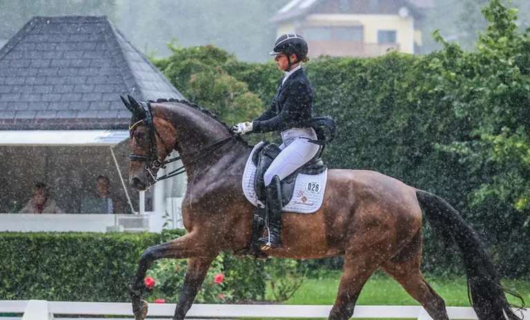 „Hasenherz“ Flying Dancer trotzt Starkregen