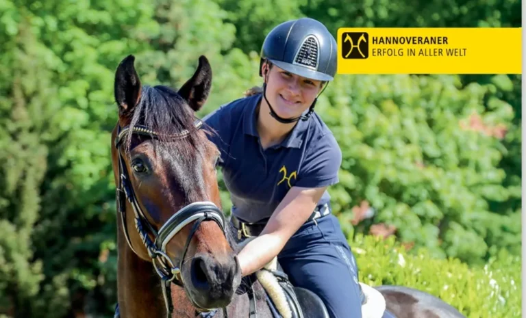 Reitpferde mit Qualität und Charakter