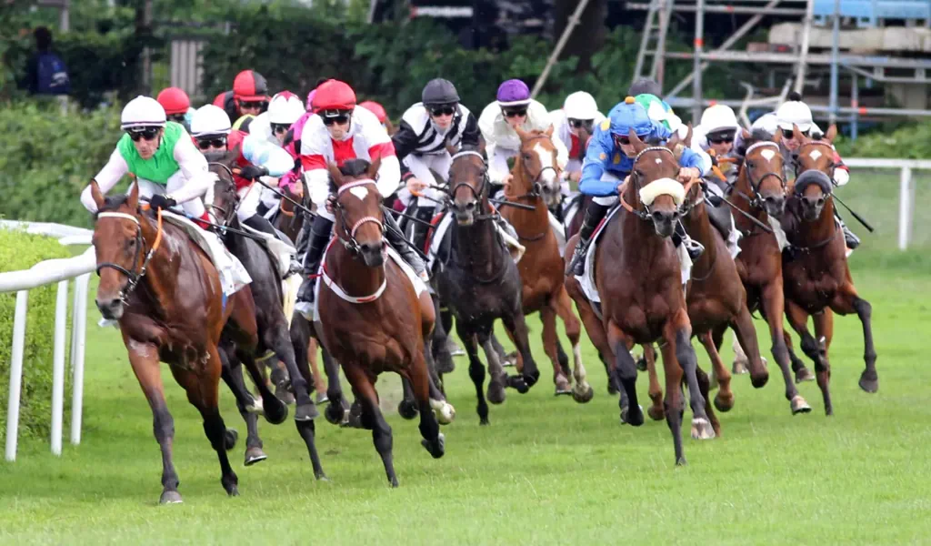 Das Rennen des Jahres: IDEE 156. Deutsches Derby um 650.000 Euro