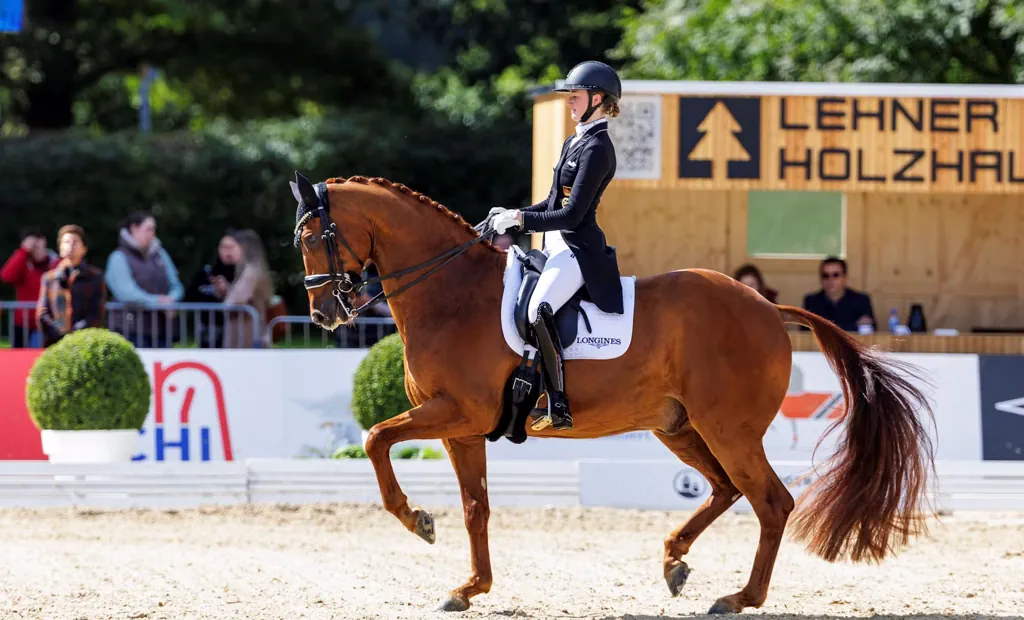 In 60 Tagen zum CHI Donaueschingen