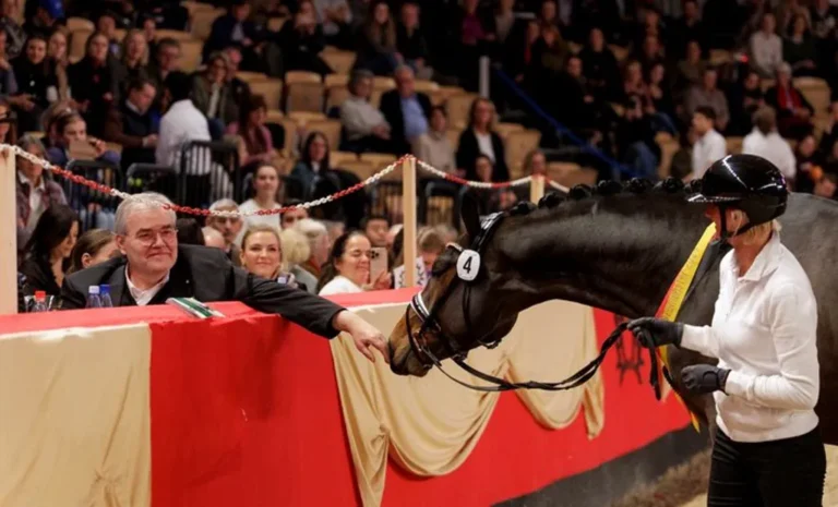 Sensationspreis für den Trakehner Siegerhengst