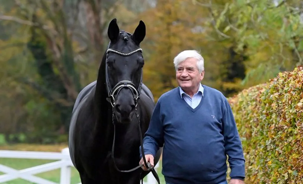Schwarzgold ist Trakehner Hengst des Jahres