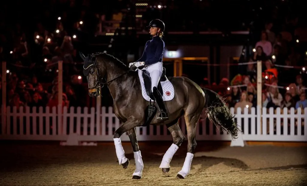 Trakehner Hommage an „Queen Dalera“