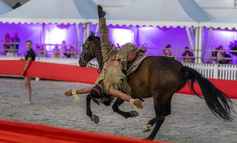 Spitzensport und Nachwuchsförderung