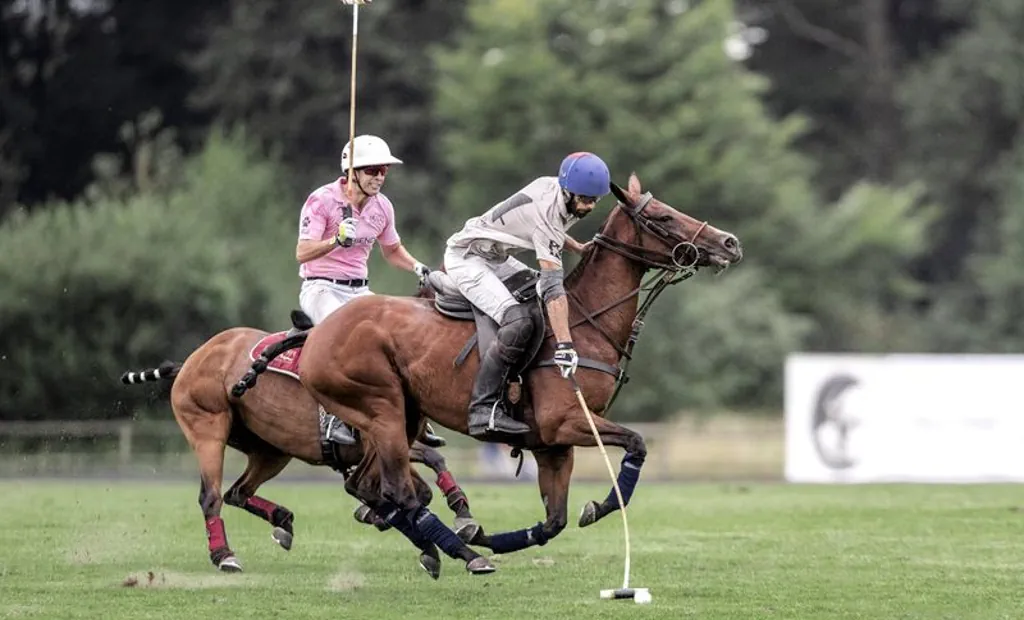 Der Countdown zum Polopicknick Münster 2025 läuft