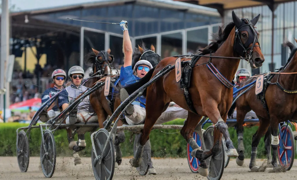 Bonuspyramide zum 130. Deutschen Traber-Derby