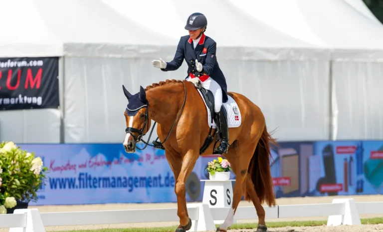 Quinn G – Auf dem Weg zum Triple-Gold?