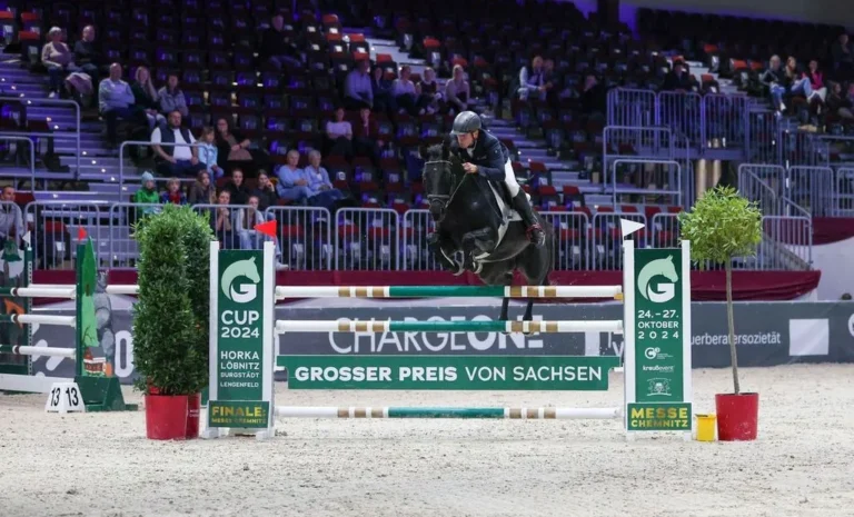 Im Galopp durch Sachsen
