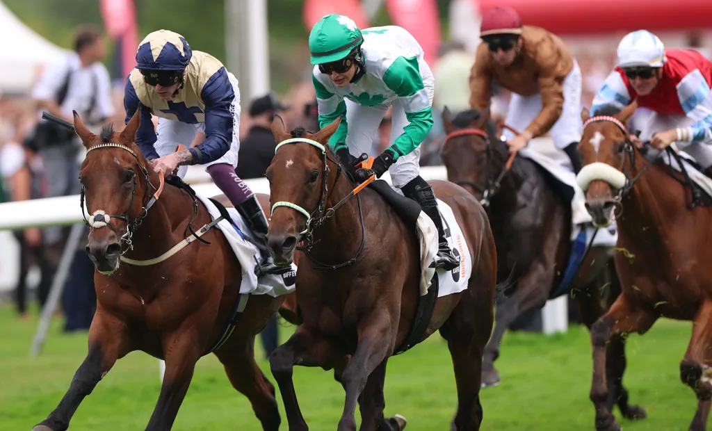 Das Rennen der internationalen Galopp-Cracks: WETTSTAR.de