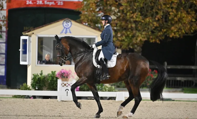 Moritz Treffinger und Cadeau Noir siegen im Piaff-Förderpreis-Finale in Hagen a.T.W.