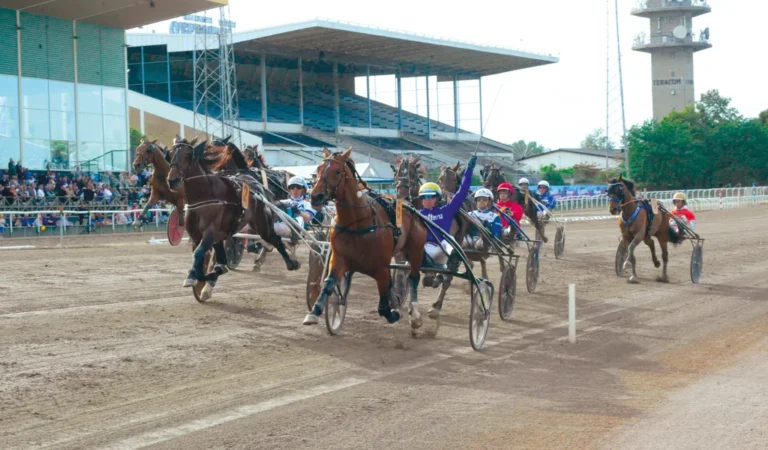 WETTSTAR-Bonuspyramide zum Schwedischen Traber-Derby