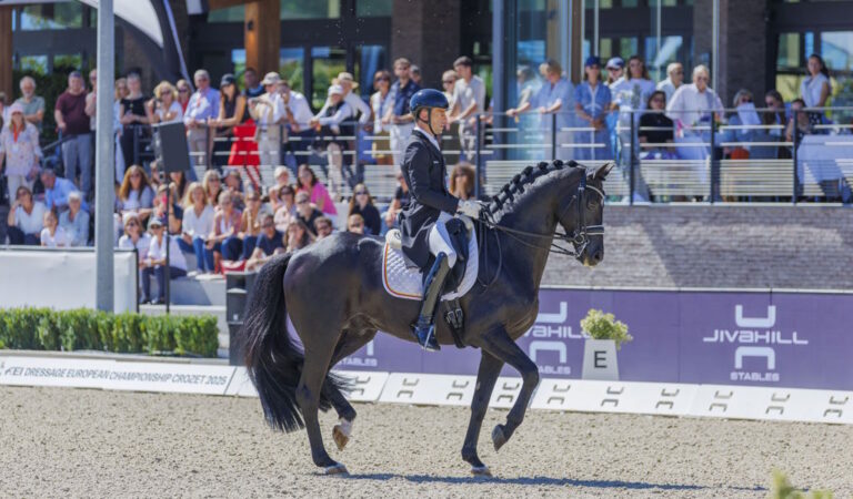 Der Belgier Justin Verboomen, neuer Star der europäischen Dressur, gewinnt eine weitereGoldmedaille im Grand Prix Freestyle