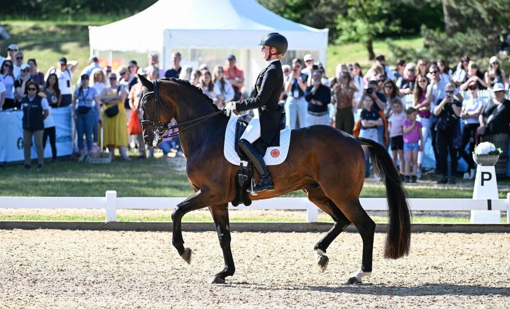 Pferd International München